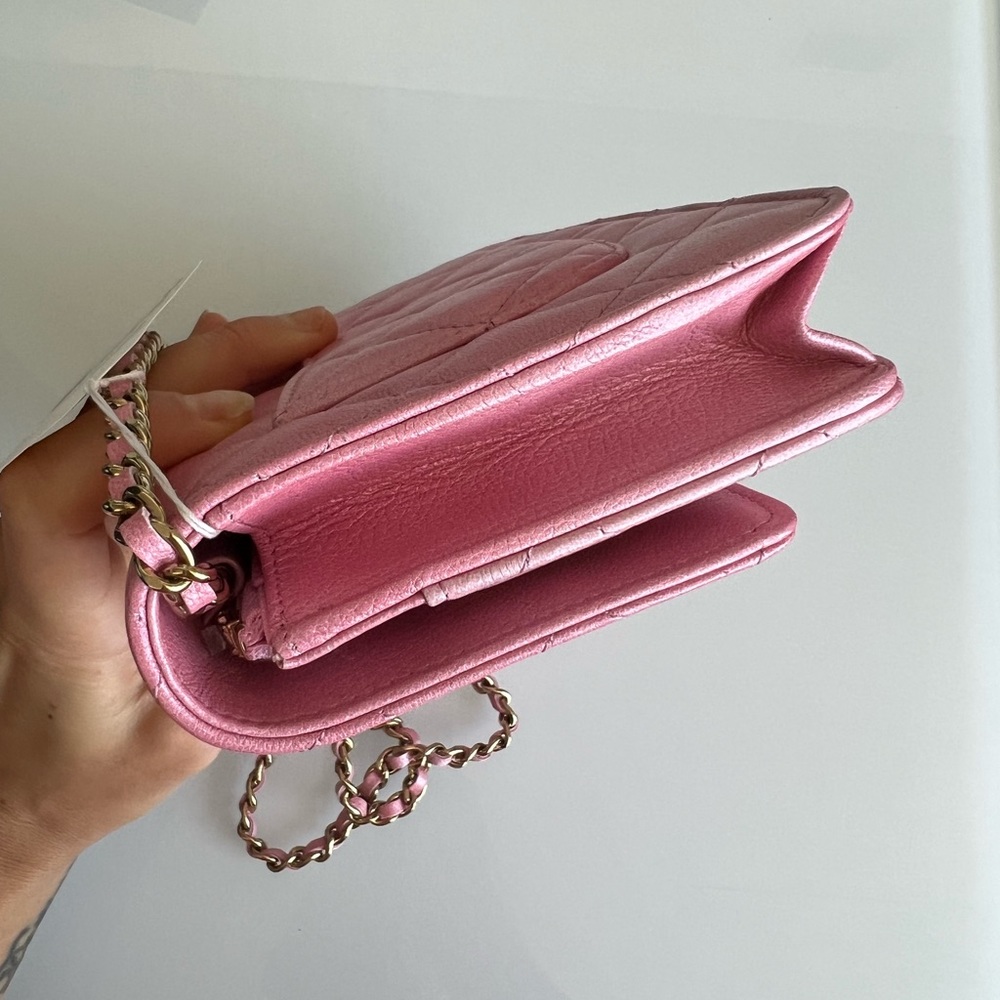 NEW UNBOXED RARE Cloudy pearly goatskin gold hardware iridescent pink - Picture 8 of 14